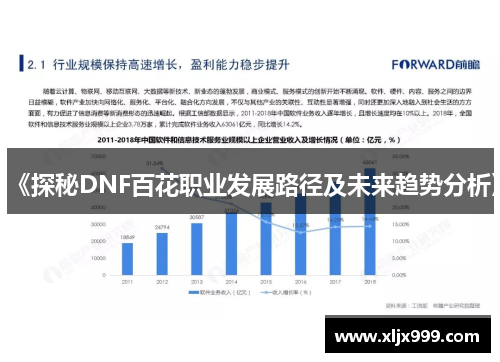 《探秘DNF百花职业发展路径及未来趋势分析》